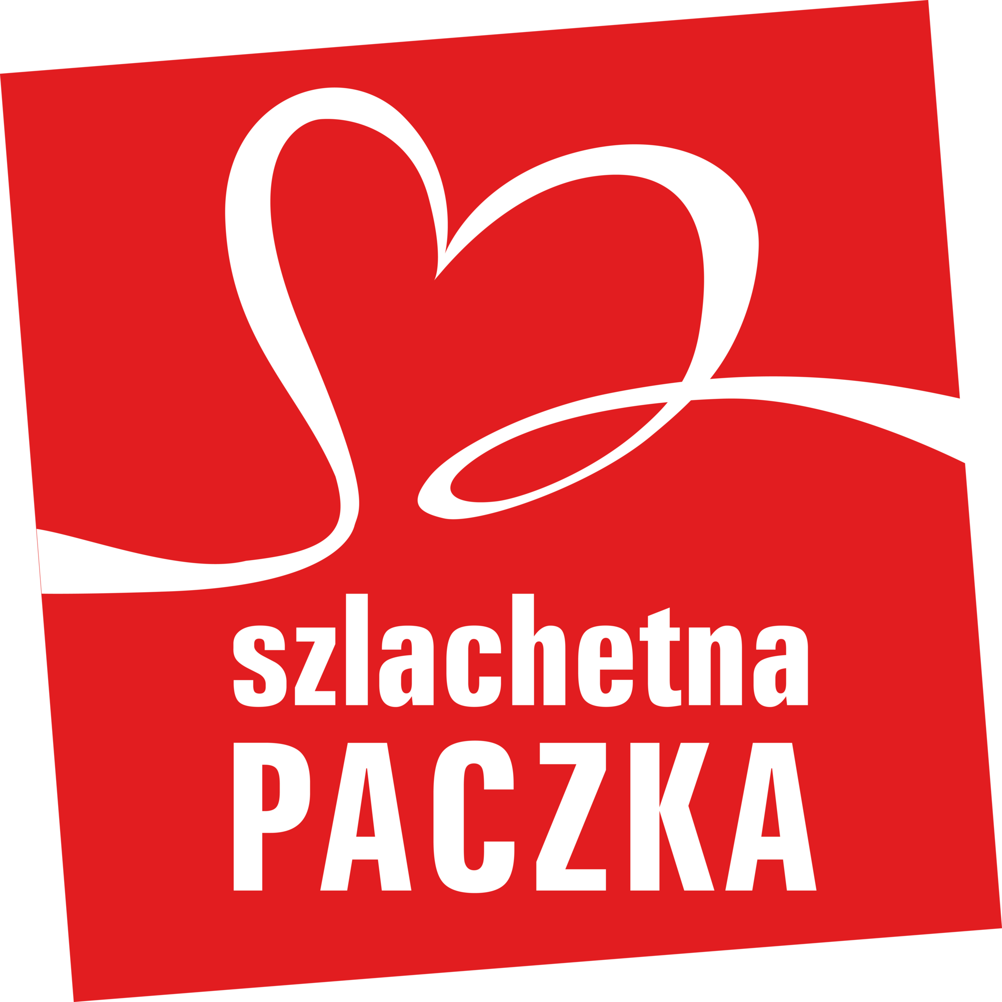 Stowarzyszenie WIOSNA - logo