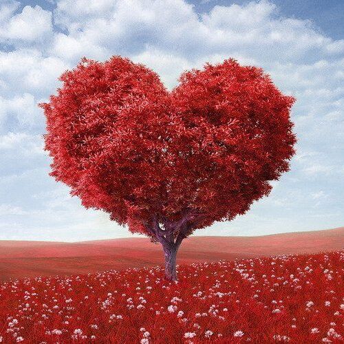 Fundacja ,,Pomagamy sercem'' - logo