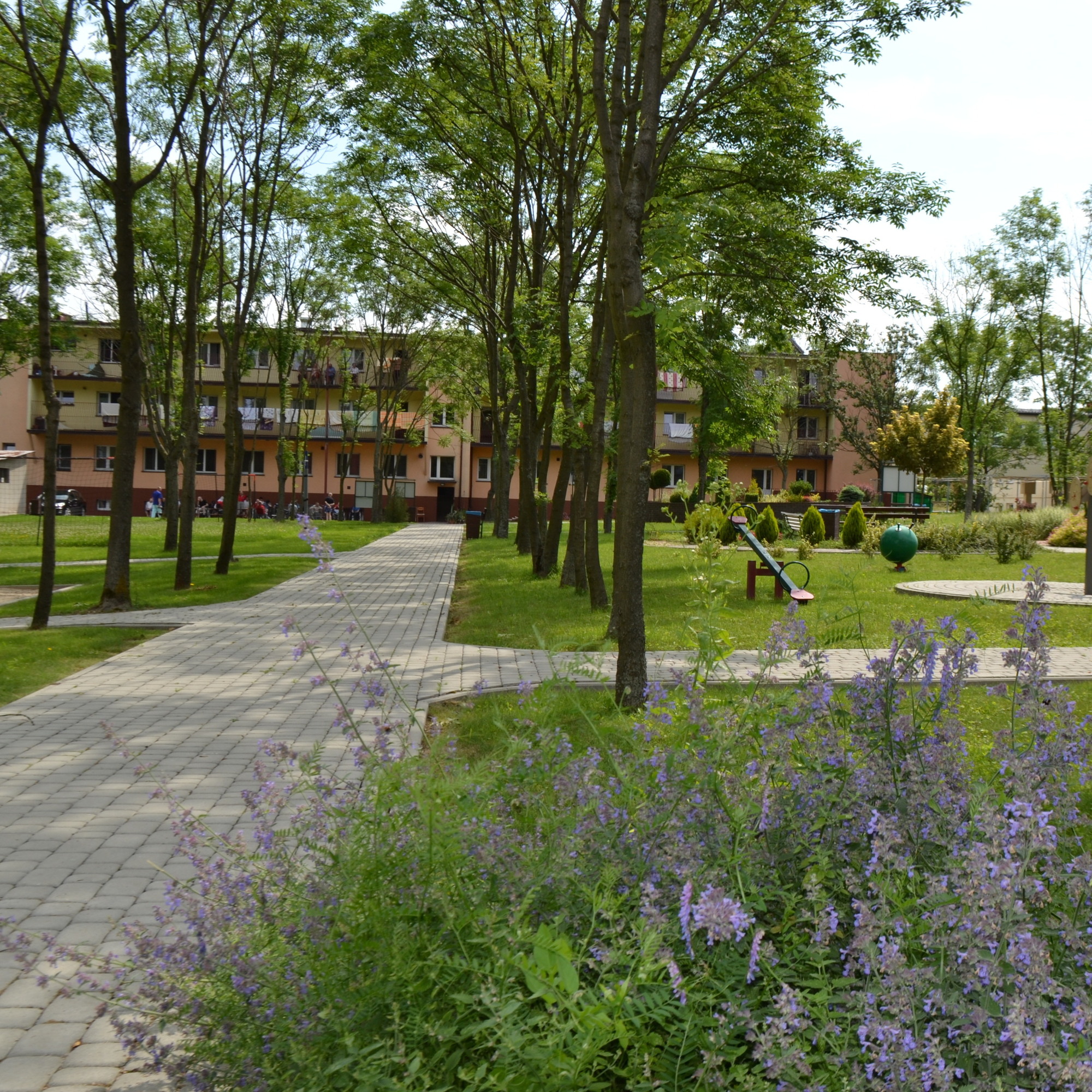 Dom Pomocy Społecznej w Miechowie - logo