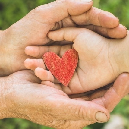 Fundacja Nova Cogito - logo