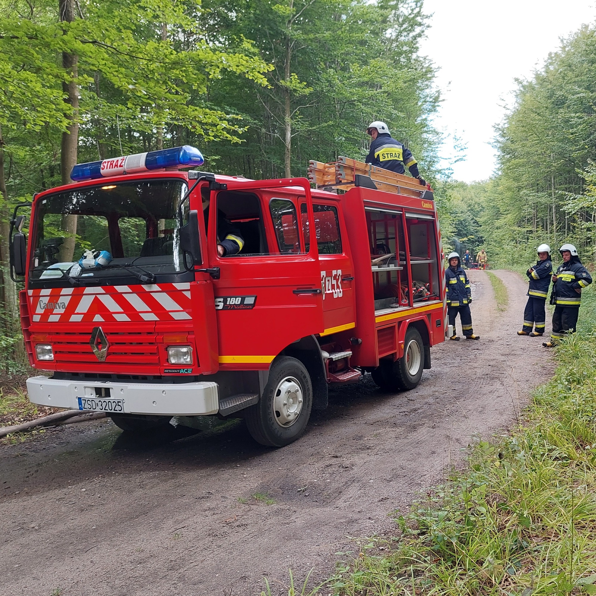 OCHOTNICZA STRAŻ POŻARNA W&nbsp;RZEPCZYNIE - logo