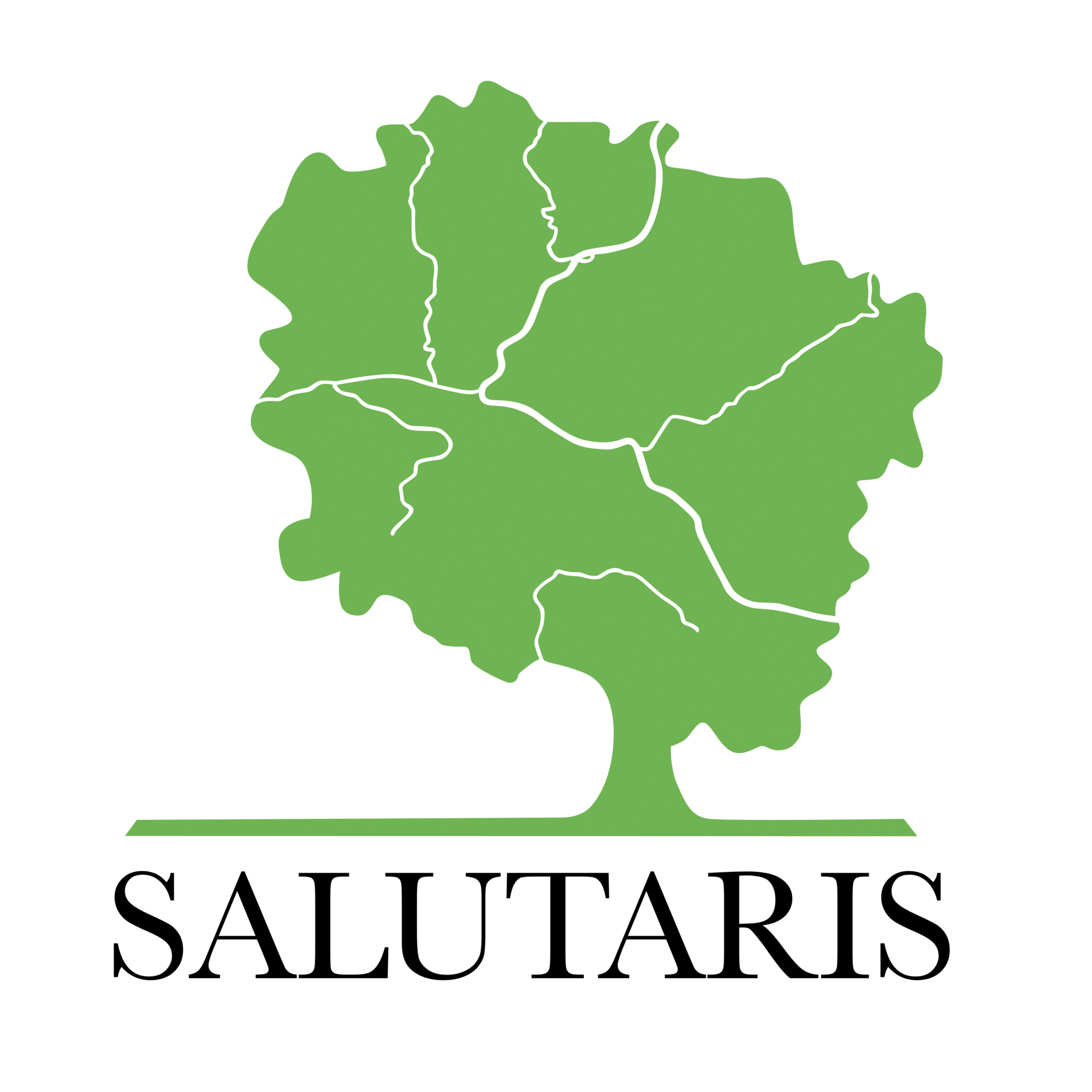 "KUJAWSKO-POMORSKIE SAMORZĄDOWE STOWARZYSZENIE SALUTARIS" - logo