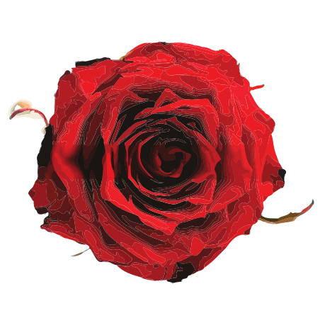 Hospicjum Opatrzności Bożej dla Dzieci w Wołominie - logo