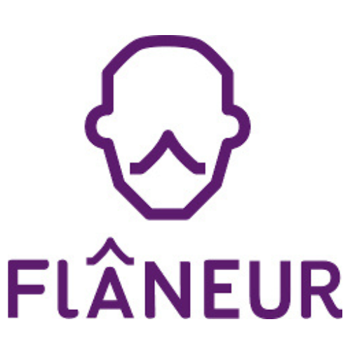 Stowarzyszenie Badawczo – Animacyjne Flâneur - logo