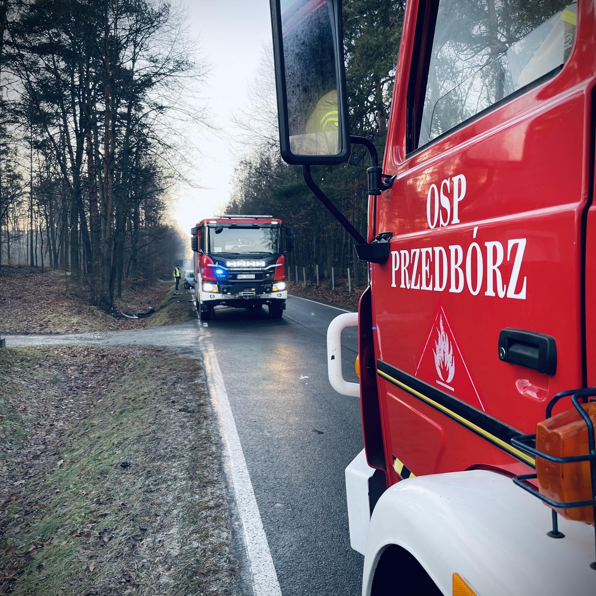 OCHOTNICZA STRAŻ POŻARNA W PRZEDBORZU - logo