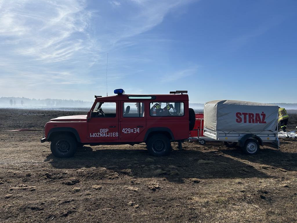 Ochotnicza Straż Pożarna w&nbsp;Woźnejwsi - logo