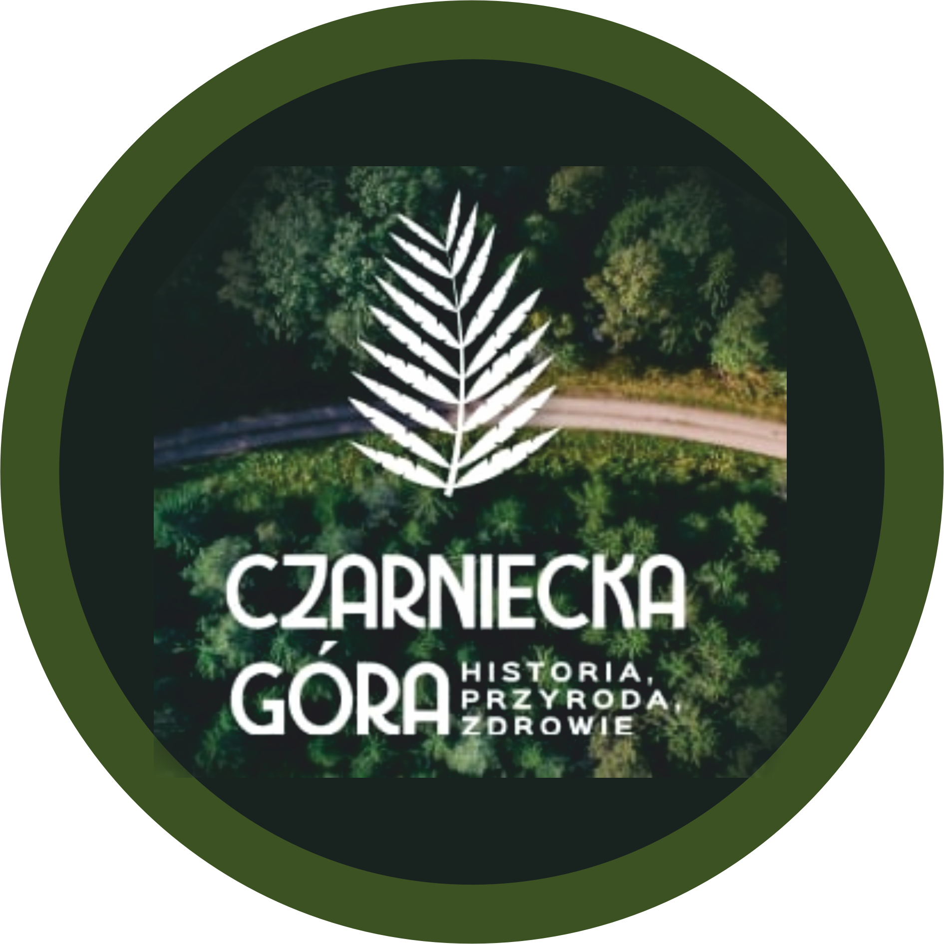 Towarzystwo Przyjaciół Czarnieckiej Góry - logo