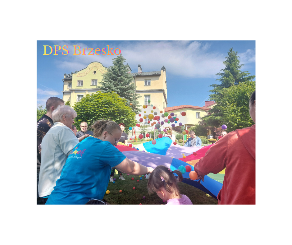 Dom Pomocy Społecznej dla Dzieci i Młodzieży Niepełnosprawnej Intelektualnie prowadzony przez Zgromadzenie Sióstr Służebniczek NMP NP. - logo