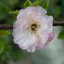 Magdalena Mroczkowska-Tatara