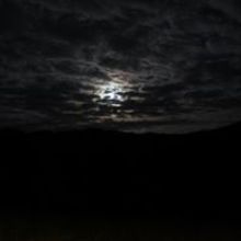 Katarzyna Wilczyńska