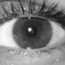 Katarzyna Nazarewska