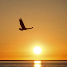 Renata Stefańska-Klar