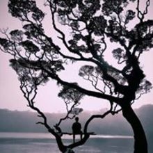 Andrzej Kamiński Borys