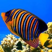 Jarosław Wojciech Małecki