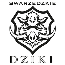Swarzędzkie Dziki