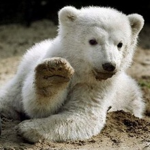 zusmiechemprzezzycie