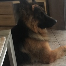 Natalia