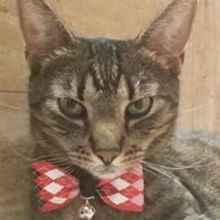 Katarzyna Wierzbicka