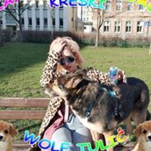 Julia Nizskovskyi-Tramp