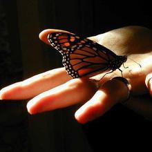 Agnieszka Trzewiczek