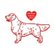 Golden Retrievery dla WOŚP