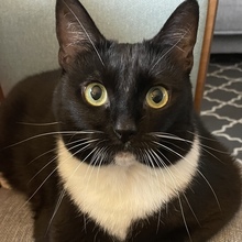 Agnieszka Kalaczyńska