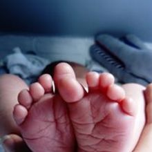 Paulart Portrety Karykatury