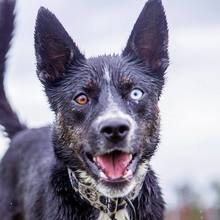 Anonimowa Pomagaczka