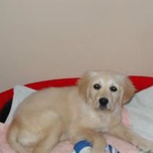 Magdalena Krasińska Tomaszewska