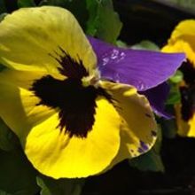 Magdalena Wiśniewska