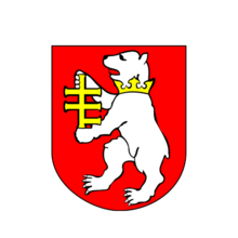 Powiat Radzyński