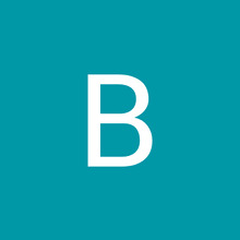Bizon