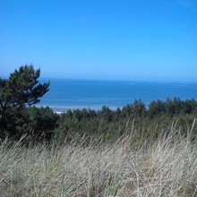 Anonimowa Pomagaczka