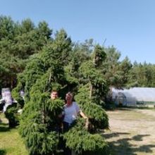 Aleksander Światkowski