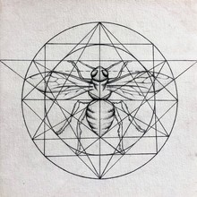 Bartłomiej Gurtowski