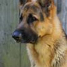 Jacek Ryszard Chlebowski