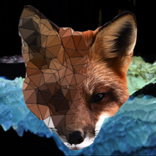 Exel Fox