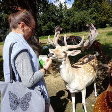 Małgorzata Wójcicka