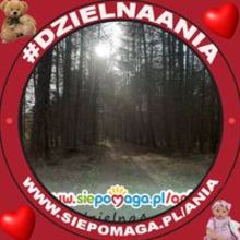 Katarzyna Stasiukiewicz