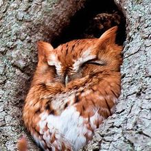 Magdalena Grochowska