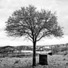 Sebastian Maliszewski