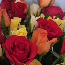 Marta Cielińska-Idziak