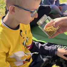 Anonimowa Pomagaczka