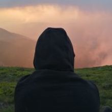 Anna Wachowska-Nowotarska