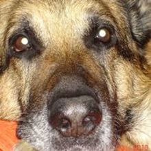 Edek Z Krainy Kredek