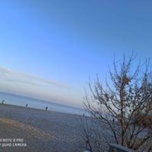 Monika Justyna Rzepka