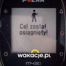 Tomasz Banach