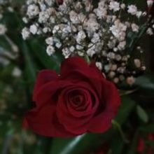 Justyna Godzińska Niewdana