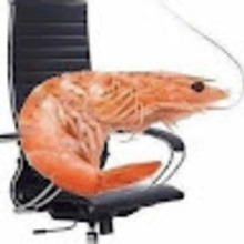 Anonimowy Darczyńca