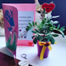 Elżbieta Antonowicz